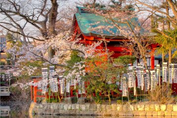 Kamakura Tsurugaoka Hachiman-gu 