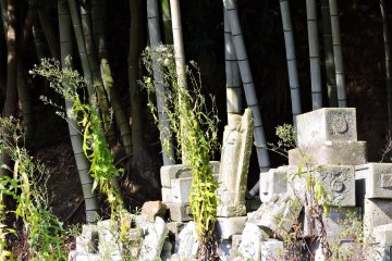 <p>Cemetery of broken jizo statues beside the bamboo grove which surrounds Taicho-ji Temple</p>