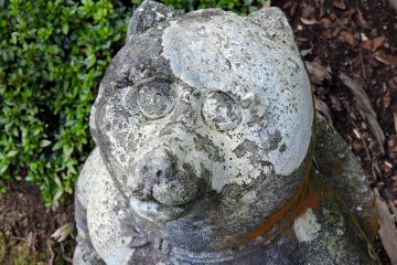 <p>Mischievous look of tanuki statue!</p>