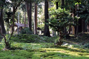 <p>Looking at the small wooden shelters of jizo statues in the forest</p>
