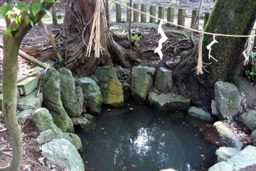 <p>As far as I can tell, the water in the pond doesn't look clear...but Taicho used this water 1332 years ago, so probably it was clear then!</p>