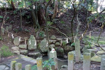 <p>This is 'Thunder Pond' in the woods. Sacred rope surrounds it</p>