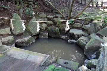 <p>Closer look at 'Thunder Pond'</p>