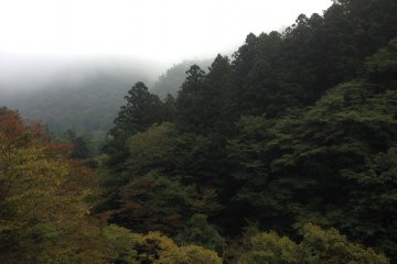<p>The morning view from my bedroom window. All you can hear is the river and birds, so peaceful and refreshing</p>