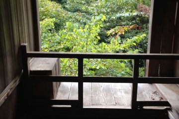 <p>Nature is framed in the glassless&nbsp;windows scattered &nbsp;throughout this lovely old building</p>
