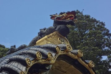 Tsutsuga