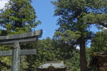 Karado Toii and Yomei-mon Gate