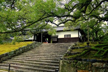 <p>Steps at Shoren-in</p>