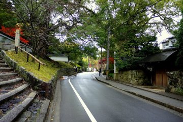 <p>This street is a pleasant place for a stroll, especially in autumn.</p>