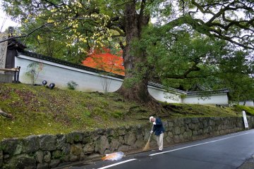 <p>A man sweeping leaves into a pile</p>