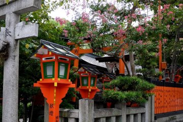 <p>Des lanternes rouges et des fleurs roses au sanctuaire Tatsumi Daimyojin</p>