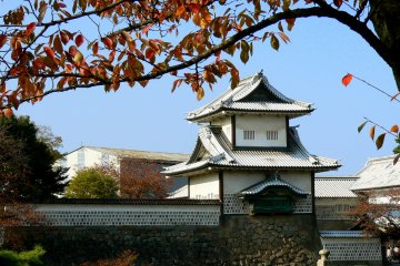 <p>An overhanging sakura branch frames the view</p>