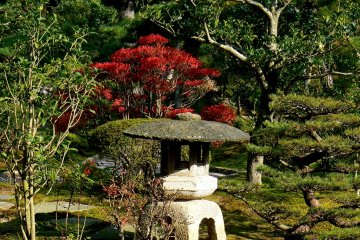 Autumn at Kenroku-en