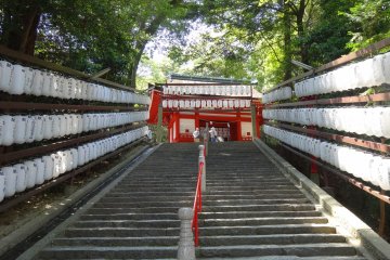 <p>Steep steps leading up to the main shrine</p>