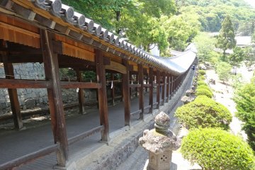 <p>The 400 meter covered corridor</p>