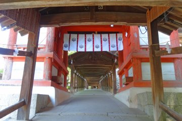 <p>Walking along the peaceful corridor</p>