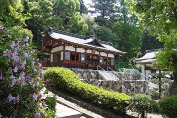 <p>Another beautiful building</p>