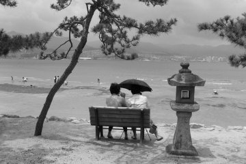 <p>Perfect moment</p>