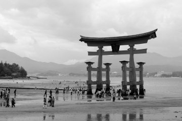 <p>The tourist magnet</p>