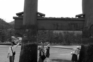 <p>Tourists at the torii</p>