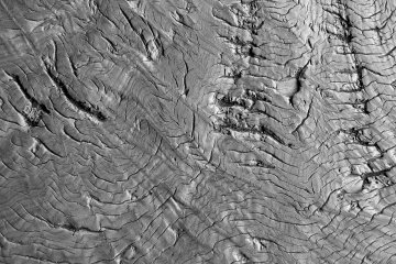 <p>The texture of age</p>