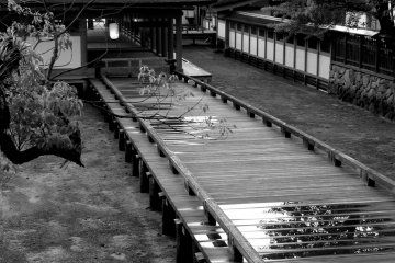 <p>After the rain</p>