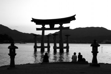 <p>Enjoying the sunset</p>