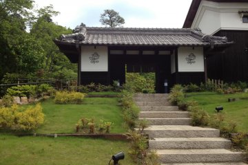 View from the foot of the steps