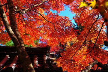 Autumn Colors at Nison-in - 2