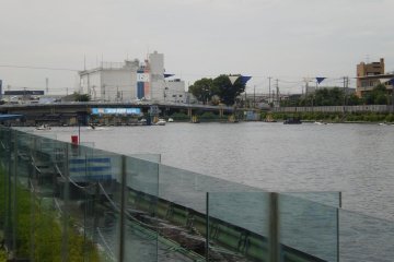 The Starting area