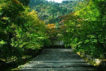 <p>The famous temple approach of Nison-in, 'Momiji-no Baba (Riding Grounds with Maple Leaves)'. True to its name, this walking path is decorated with fiery red maple leaves in autumn</p>