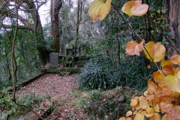 Some families have their own little corner, tucked away under a group of trees.