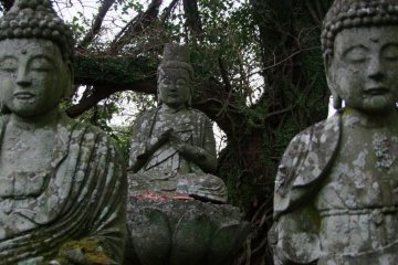 Ancient histories and Buddhist lore are buried in these mountains.