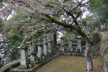 A small family plot, somewhere in the middle of the mountain.
