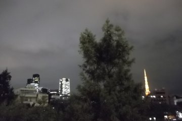 <p>The view from the terrace</p>