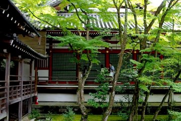 Amazing Outside Corridors -1