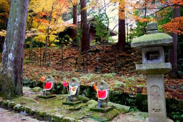 <p>Sometimes there are glimpses of buildings through the trees</p>