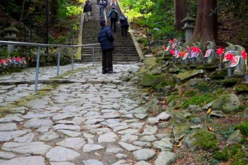 <p>Steps to the main hall of the temple see the end of the path - and the Ojizo statues</p>