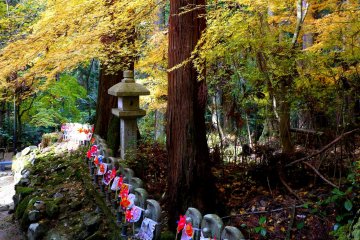 <p>I can't quite decide whether it's cute or creepy</p>