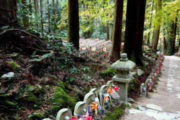 <p>Rows of Ojizo also stand among the trees</p>