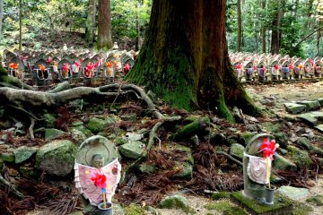 <p>Moss grows on the tree trunks and tangled roots crowd close to the statues</p>