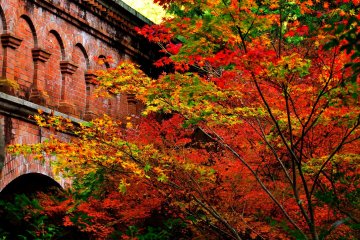 Miyabi: Subtle Beauty of Nanzenji