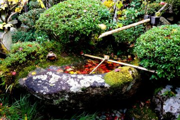 Pond and Garden at Kongorinji