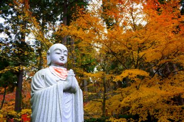 Autumn Color at Kongorinji