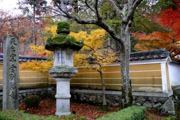 A heavy crop of moss grows in a stone lantern near the gate