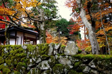 This stone wall must be more than fifty percent covered by moss