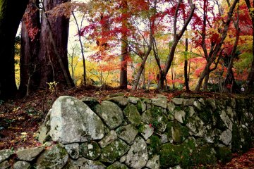 Wonderful color combinations