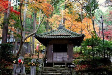 A small shrine stands among the colorful maple trees