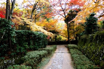 The path leads to gold
