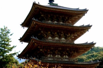 <p>The oldest pagoda in Kyoto towering over yellow foliage</p>